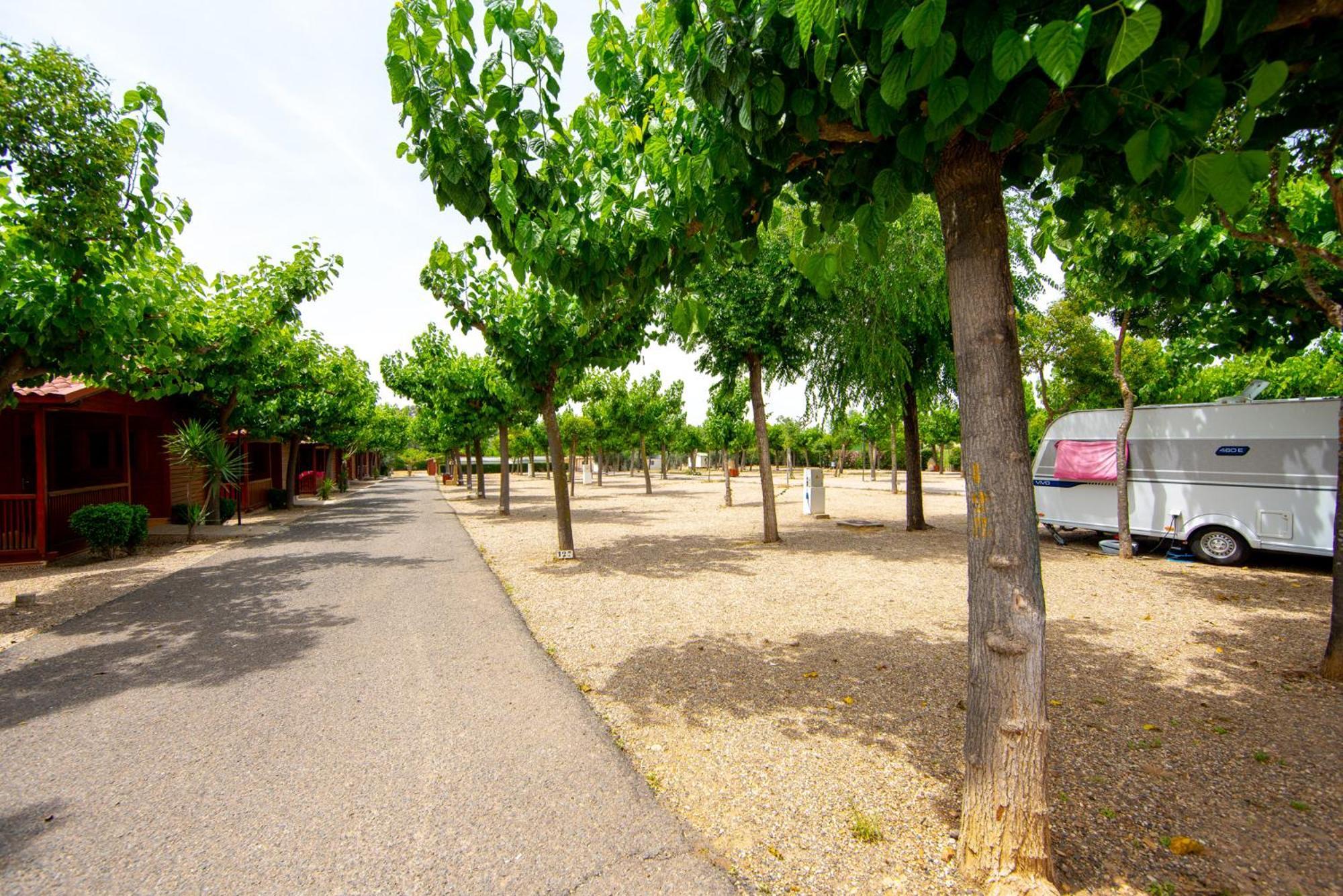 Camping Carlos III Ла Карлота Екстериор снимка
